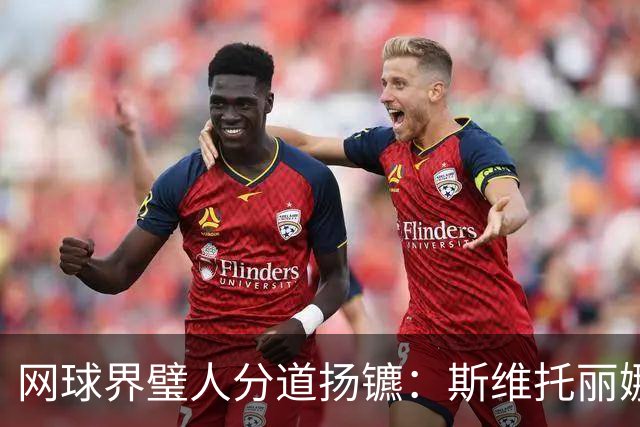 网球界璧人分道扬镳：斯维托丽娜与孟菲尔斯正式离婚
